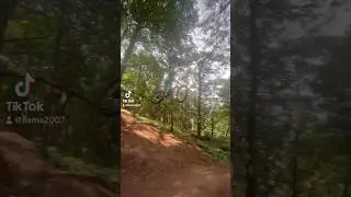 Errington woods MTB SESH