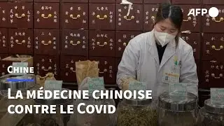 En Chine, la médecine traditionnelle en renfort face au Covid | AFP