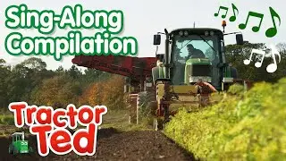 Music On The Farm | Tractor Ted Sing-Along Compilation 🎶 | Tractor Ted Official Channel
