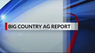 Big Country Ag Report: July 26, 2019