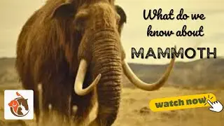 What do we know about Mammoth - The Roamer of The Old World