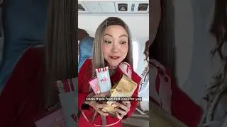 FLIGHT ATTENDANT TRIES TO PICK UP HOT PASSENGER 😂
