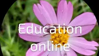 Scholarship 4th standard 