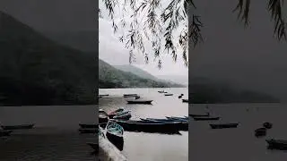The fewa lake &hearts;️&hearts;️ #viralvideo #subscribe #shorts #lake #travel