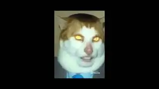 Monday left me broken - Monday Cat (1 HOUR)
