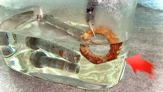 Nobody Knows About This Method of Removing Rust With Citric Acid!