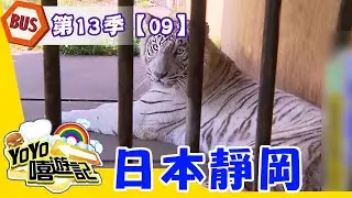 【日本靜岡】探訪伊豆野生動物園，與白老虎共享午餐時光！YOYO嘻遊記S13 第9集｜旅遊｜景點｜美食