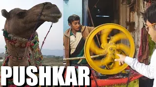 India Travel Vlog: Why Pushkar Was Worth the Trip Alone.