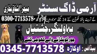 Army Dog Center Bahawalnagar &bull; Chishtian &bull; Khoji Kutta &bull; Fuji Kutta &bull; Khoji Dog Bahawalnagar &bull; Okara