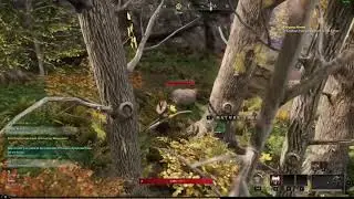 New World - Logging in a nutshell