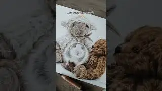 Tiny Rat Drawing in Colored Pencils 🐭 | Realistic Animal Art