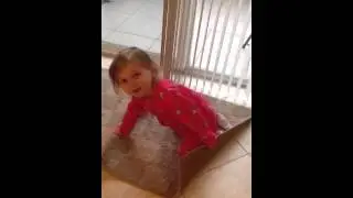 Emma pickles pizzas pie