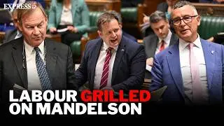 Labour endure Commons THRASHING as Mandelson sacked over 'SICKENING' Epstein link