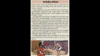 తాయత్తు - దోమలు (Amulet - Mosquitoes)