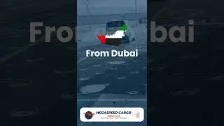 RORO Shipping from Dubai to Africa | Next Vessel 17th November