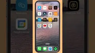 Scarica l&rsquo;app PetSmile, il primo social solo per animali.🐾