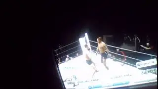 Fedor Emelianenko vs Gilbert  Yvel(stand-up knockout)