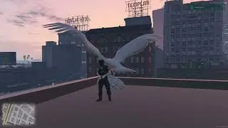 FALCON STORE : ( Police TImer ) QbCore .