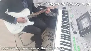 #315 Yog muaj leejtwg mob