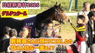 【日経新春杯2026】勝ってなでなで褒められるゲルチュタール、自分から厩務員さんに顔コスコス甘える姿も可愛い😆