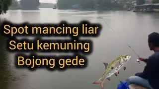 SPOT MANCING LIAR DI BOGOR SETU KEMUNING BOJONG GEDE