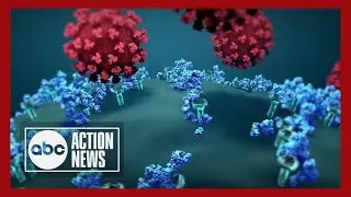 New COVID mutation 'arcturus' spreads, causing different symptoms in children