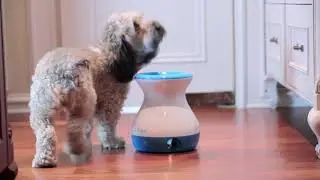 ifetch too and ifetch frenzy : ifetch family of products