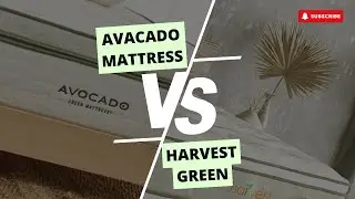 Avocado Mattress vs Harvest Green Mattress (short version)