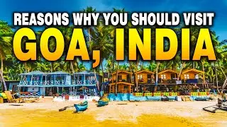 Top Reasons Why Goa, India Should Be Your Next Travel Destination! - Reasons to Visit Goa, India