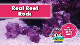 Product of the week. All you need to know about Real Reef Rock