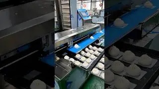 Automatic steamed bun production line#meat steamed buns#vegetable steamed buns#chicken steamed buns