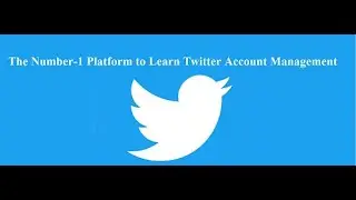 Learning Twitter Account Management in Just 5 Minutes