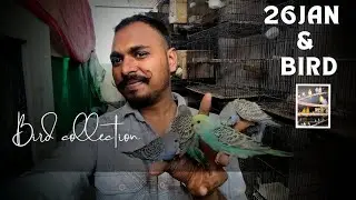 Bird collection & republic day celebration 🎉#republicday #india #aviary #farming 