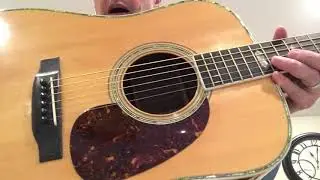 Martin D-41 1973
