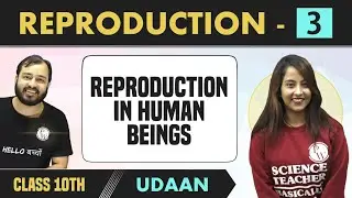 How do Organism Reproduce? 03 | Reproduction in Human Beings | Class 10 | NCERT | Udaan