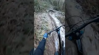 POV chasing silence up Leckhampton Hill. #mtb #ukmtb #mountainbike #ride #flowstate #mtblife