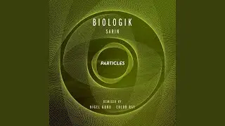Sarin (Nigel Good Remix)