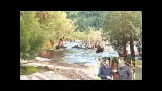 Ecocamping playa arrayanes