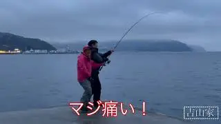 鰤祭り13　ヨシポン炸裂⁈（伊豆　伊東港　堤防　泳がせ釣り　カマス　ワラサ　ブリ）