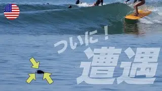 【サーフィン中、見つけてしまいました】こんな形の良い小波見たことない?! マリブとベンチュラで過ごした1日 | カリフォルニア サーフトリップ 4