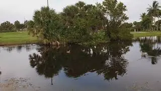 A Walk In Carlin Park By The Lake side.