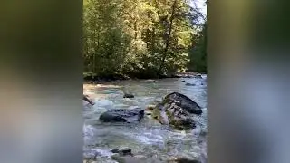 North Cascades Small Creek Fishing