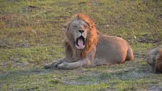 AFRICA 2018