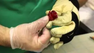 #12 The making of Roses out of Hard Candy at Lofty Pursuits