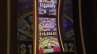Buffalo Grand Hit Huge Massive Handpay Max Bet Jackpot Epic