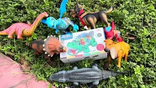 Unbox Gear crocodile and review dinosaur triceratops brachiosaurus T rex buffalo #aza555