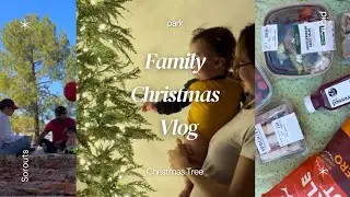 Christmas Vlog | Sprouts | Picnic | Christmas tree | Cook with me 