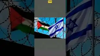 Israeli airstrikes in Gaza killed 34 Palestinians | VSN WR 9#shorts #viral #trending