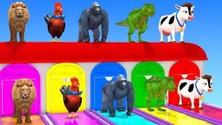 Long Slide Game with Cow Elephant Gorilla Hippopotamus Tiger 3d Animal Game Funny 3d Animals