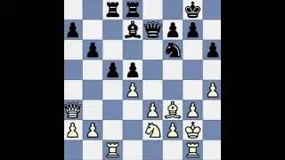 The best chess commentary that will be done. clip1872 Bischoff vs Kasimdanovh